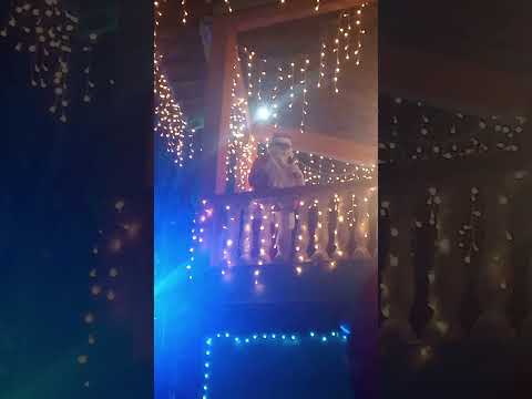 Natal Santa Cruz de Minas São João Del Rei MG