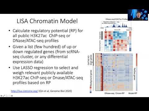 STAT115 Chapter 13.6 Infer TF from Differential Genes Using LISA