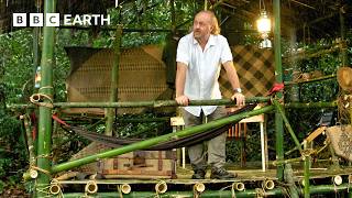 🔴 LIVE: Amazing Bornean & Indonesian Jungle Wildlife | Bill Bailey's Jungle Hero | The Travel Edit