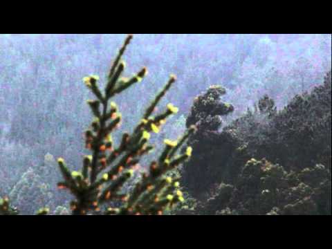 Jaime Olguin - No Me Consueles, Señor