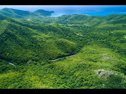 The Fig Tree Estate | Antigua and Barbuda | Caribbean - The Agency