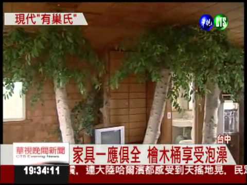 沒預約別想住! 樹屋民宿紅到國外