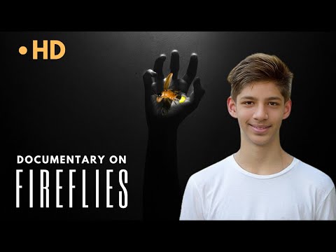 Firefly Experience | Summer Night with Fireflies Lightning Bugs | Firefly Documentary |@MrRaoReacts