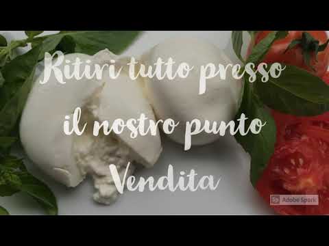 Corapi spot Focu Meo