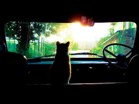 Moe Turk, DJ Fuzzy, Ayman Nageeb - Outta My Head