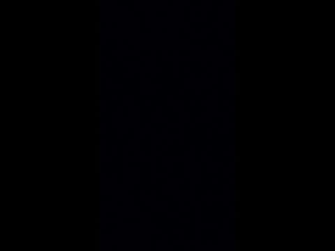 The true megalovania