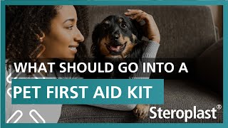 What Should go into a Pet First Aid Kit | Steroplast Healthc