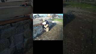 Install the first row of a log cabin beams