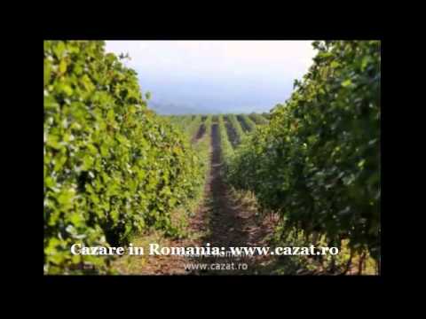 Cazare Valea Mare, Neamt - Cazat.ro