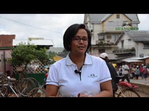 GUANOMINUTE #002 - Manjakandriana