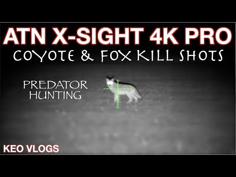 ATN X-Sight 4K Pro In Action Predator Hunting