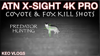 ATN X-Sight 4K Pro In Action Predator Hunting