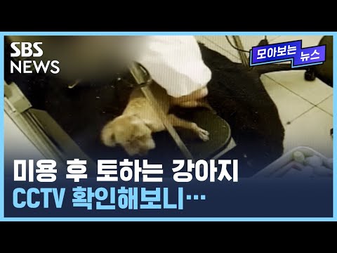 아이콘