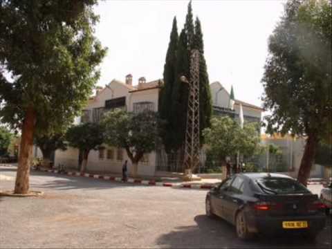 cheb kada ben badis  ghalbouni l bhoure