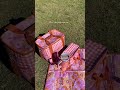 The Picnic Collection By Splosh