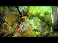 Yanni - Mist of a Kiss