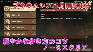 【原神】プネウムシア五月雨反応法の攻略・ノーミスクリア【ステージ01】