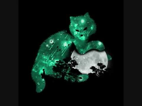 Matt Shwartz ft Sholan - Can You Feel