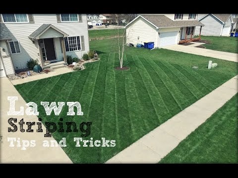 image-What is the best mowing pattern?