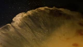 Kid Koala - All For You feat. Trixie Whitley (Official Video)