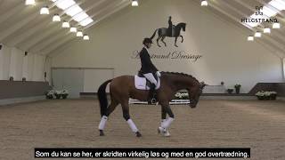 Video od Fynch Hatton