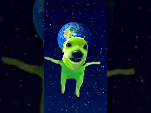 Arzoo the green dog singing preety little baby #funny #memes