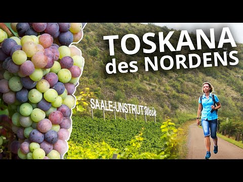 der Saale-Unstrut Weinwanderweg - ich wandere von Bad Kösen nach Naumburg