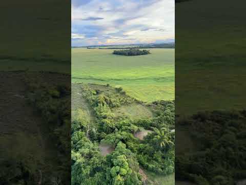 Guarantã Do Norte MT #paramotor