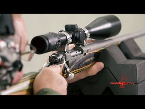 #SundayGunday: Ruger M77 Hawkeye Predator