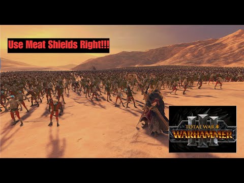 You're Using Meat Shields WRONG