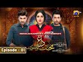 Mohabbat Dagh Ki Soorat Episode 01 | Neelam Muneer - Sami Khan - Sunita Marshal | Har Pal Geo