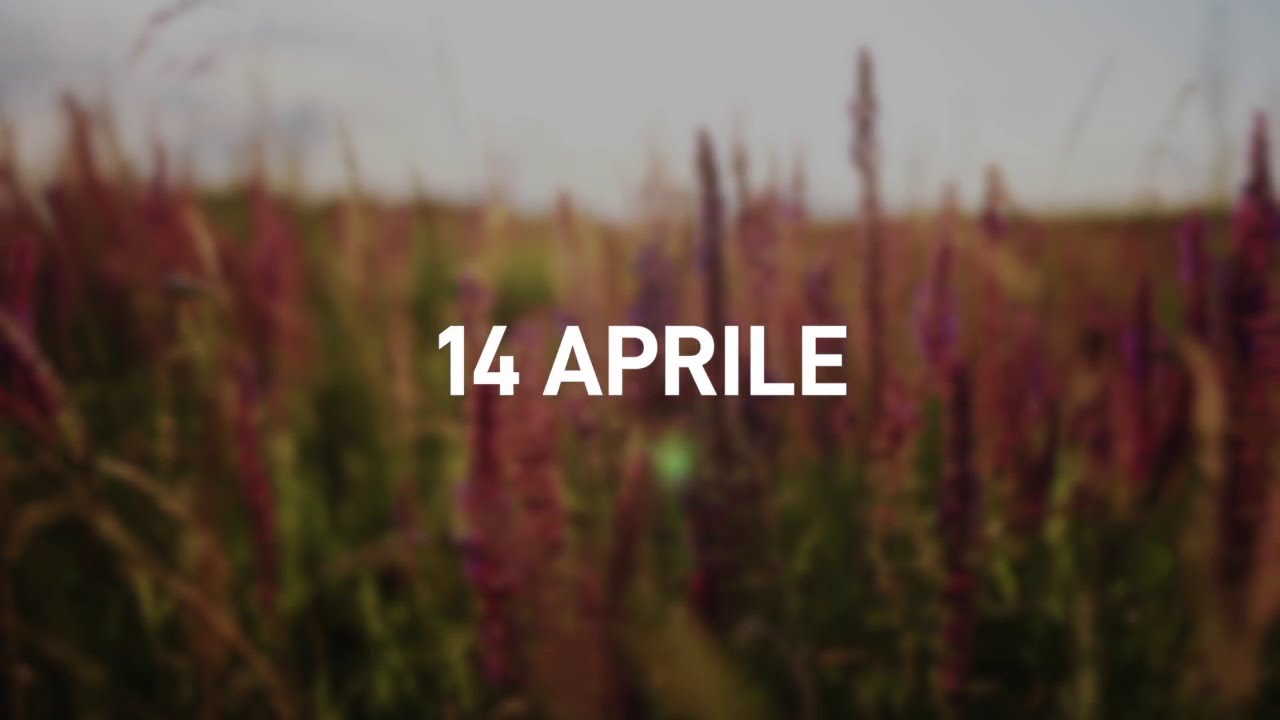 14 Aprile 2025 | Meditazione Parole di Vita