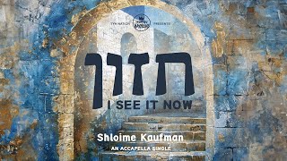 Chazon - חזון | Acapella | Shloime Kaufman
