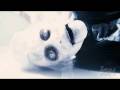 Dead Silence