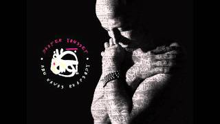 Dhafer Yousef   Profane