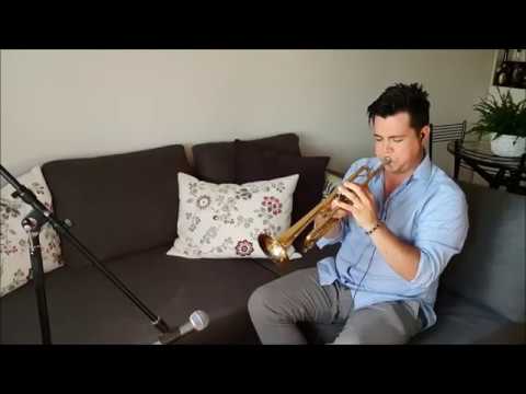 Ed Sheeran - Perfect - Cover Tromba - Nic Milano Trombettista & Dj per Matrimoni ed Eventi Privati