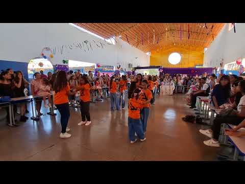 Apresentação Festa da Primavera Turma matutino - Arlene Marques 