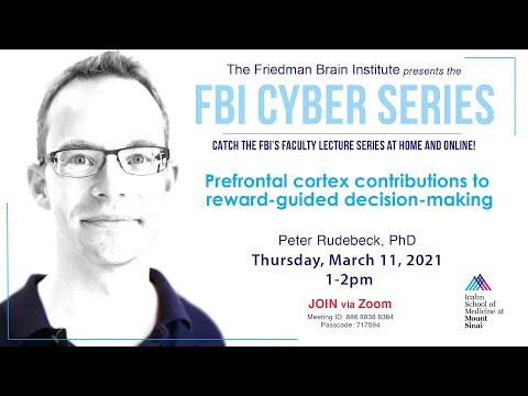 FBI Cyber Series - by Peter Rudebeck, PhD