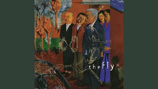 Fly