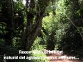 Video de "Fundación Paraguaya"