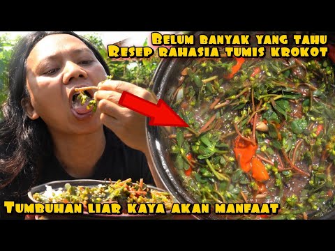 SECRET RECIPE FOR STEWED CLOCCOAT, RICH IN BENEFITS