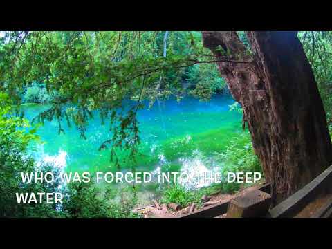 North Downs Way section two 1 of 2: Guildford to WestHumble