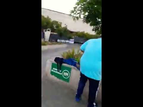 Batalla de fabro vs nicolas