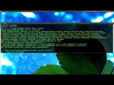 Apt Pinning - Mix & Match Packages From Different Branches - Ubuntu 10.10