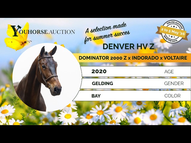 Denver HV Z