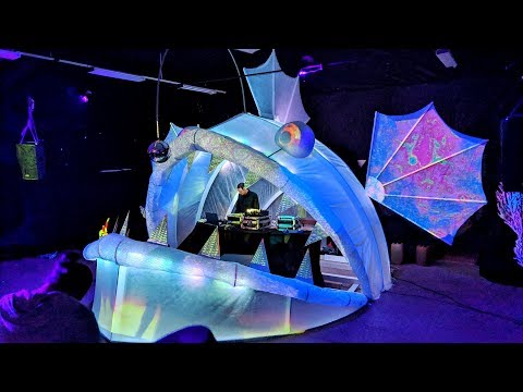 Lední Zvěř 2019 - Freak Psychedelic dvacet tři tisíc mil na dně