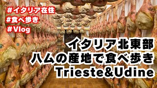 【イタリア在住】イタリア北東部・ハムの産地で食べ歩き　Trieste＆Udine【Vlog】