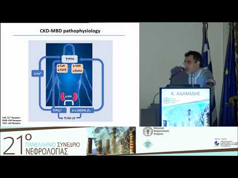 Αδαμίδης Κ. - Kidney-gut-vascular-bone axis