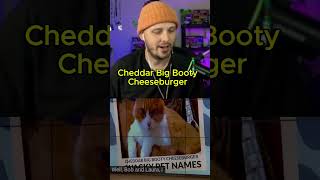 My Cat names are WAY better... #streamer #twitch #cats