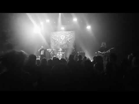 DAWOHL - Voluntary Servitude - Live at Tanzmatten Sélestat 2023